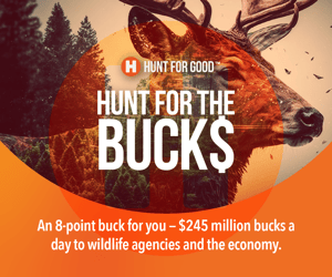 HuntForGood_Campaign_Digital_300x250_Bucks@4x