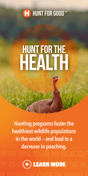 HuntForGood_Campaign_Digital_300x600_Health@4x