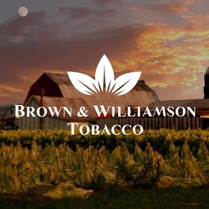 Consumables_Nicotine-BrownWilliams@3x-100