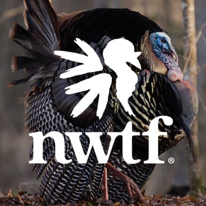 Outdoors-NWTF@3x-100