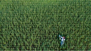 FARO_Fisher_Design_Field_Image_Background-50
